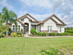 Pre-foreclosure Listing in CROSSINGS BLUFF LN SORRENTO, FL 32776