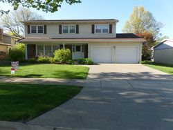 Pre-foreclosure Listing in W HACKBERRY DR ARLINGTON HEIGHTS, IL 60004