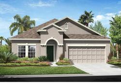 Pre-foreclosure in  RAMBLING STREAM DR Riverview, FL 33569