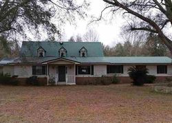 Pre-foreclosure in  SE CARPETBAGGER TRL Lee, FL 32059