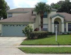 Pre-foreclosure in  BLACK CREEK BLVD Orlando, FL 32829