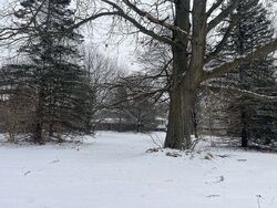 Pre-foreclosure in  ELWELL RD Belleville, MI 48111