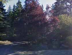 Pre-foreclosure in  266TH AVE SE Sammamish, WA 98075