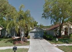 Pre-foreclosure in  EAGLE COVE BLVD Palm Harbor, FL 34685