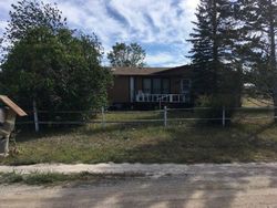 Pre-foreclosure in  LYDIA RD Helena, MT 59602