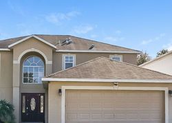 Pre-foreclosure in  TUMMEL CT Wesley Chapel, FL 33545
