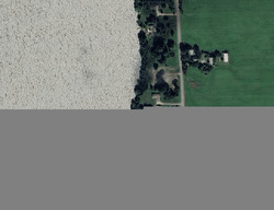  Lake Shore Dr, Rib Lake WI