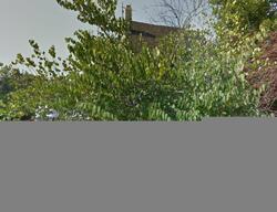 Pre-foreclosure in  FERN DR Tuckerton, NJ 08087