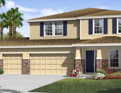 Pre-foreclosure in  FENWICK LN Wesley Chapel, FL 33543