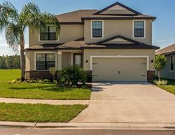 Pre-foreclosure Listing in BALLENTRAE FOREST DR RIVERVIEW, FL 33579