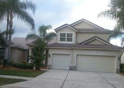 Pre-foreclosure in  GARDEN ALCOVE DR Tampa, FL 33647