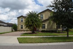 Pre-foreclosure in  CELTIC ASH DR Sun City Center, FL 33573