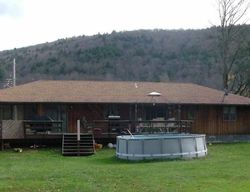Pre-foreclosure Listing in PALEN PL ROSCOE, NY 12776