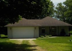 Pre-foreclosure in  WASHINGTON ST Ridott, IL 61067