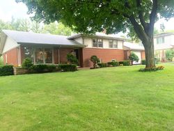 Pre-foreclosure Listing in OWEN PL PROSPECT HEIGHTS, IL 60070