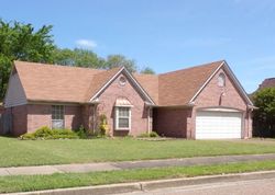 Pre-foreclosure in  MILLGROVE PARK DR Memphis, TN 38135