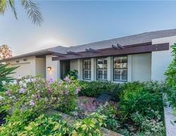  16th Ct Ne, Saint Petersburg FL