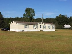 Pre-foreclosure Listing in LAURIE LN MARION JUNCTION, AL 36759