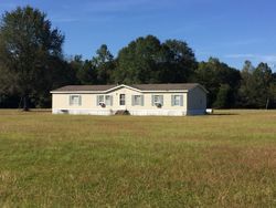 Pre-foreclosure in  LAURIE LN Marion Junction, AL 36759