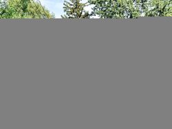  Harkness St, Bellevue OH