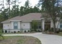  N Allamandra Dr, Beverly Hills FL