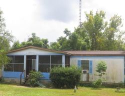 Pre-foreclosure Listing in SE 99TH PL OCKLAWAHA, FL 32179