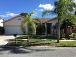 Pre-foreclosure in  POCKET BROOK DR Tampa, FL 33635