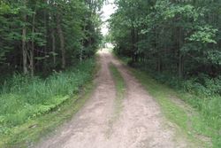 Pre-foreclosure Listing in BIRCHWOOD TRL PINE CITY, MN 55063