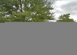 Pre-foreclosure Listing in BEAR CREEK BLVD WARREN, MI 48093