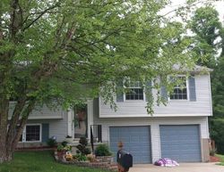 Pre-foreclosure Listing in WATERSIDE WAY FT MITCHELL, KY 41017
