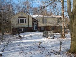 Pre-foreclosure Listing in BRIARWOOD DR TOBYHANNA, PA 18466
