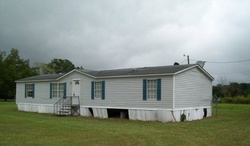 Pre-foreclosure in  WADE RD Pelham, GA 31779