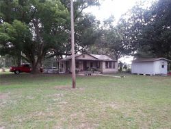 Pre-foreclosure Listing in DOUGLAS RD GROVELAND, FL 34736