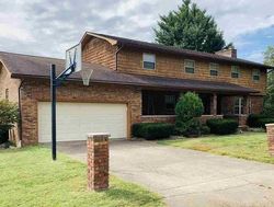 Pre-foreclosure Listing in TOWNSHIP ROAD 1363 CHESAPEAKE, OH 45619