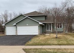 Pre-foreclosure in  RED FOX RD Rogers, MN 55374