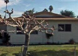 Pre-foreclosure in  LAS PALMAS ST Coachella, CA 92236