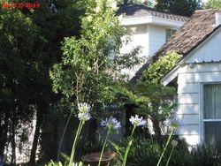 Pre-foreclosure Listing in FIRMAMENT AVE VAN NUYS, CA 91406