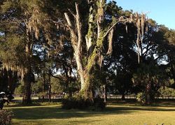  Se 150th St, Summerfield FL