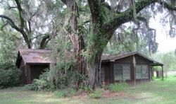 Pre-foreclosure Listing in SE HIGHWAY 55A OLD TOWN, FL 32680