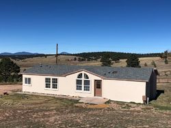 Pre-foreclosure Listing in LONGBOW DR E DIVIDE, CO 80814