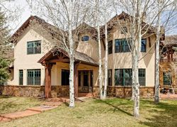 Pre-foreclosure in  RIVER PARK RD Carbondale, CO 81623