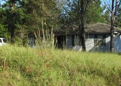 Pre-foreclosure Listing in PELHAM AVE GRACEVILLE, FL 32440