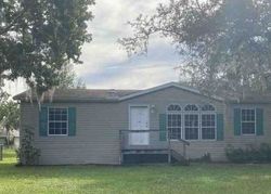 Pre-foreclosure Listing in OSCEOLA HOLLOW RD ODESSA, FL 33556