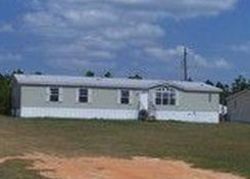 Pre-foreclosure Listing in BROOKE RD FORT MEADE, FL 33841
