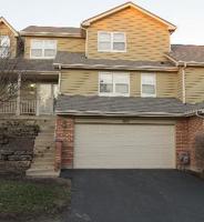 Pre-foreclosure in  SHAGBARK DR Elgin, IL 60123