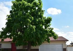 Pre-foreclosure in  E 55TH AVE Denver, CO 80239