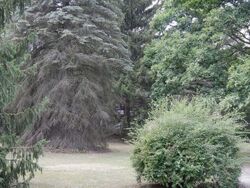 Pre-foreclosure in  SUMMERFIELD RD Temperance, MI 48182