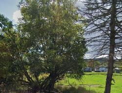  Delaware Ave, Olean NY