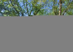 Pre-foreclosure in  MOHAWK LN Waukesha, WI 53186