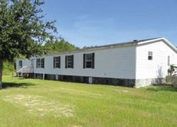 Pre-foreclosure Listing in SE 294TH COURT RD UMATILLA, FL 32784